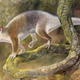 A reconstruction of the Anatoliadelphys maasae. Image: Peter Schouten